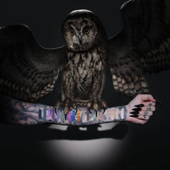 Night Owl Artistry Palette